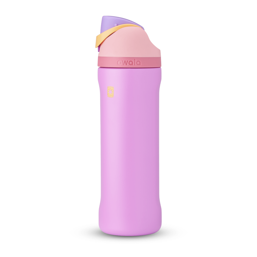 Disney Princess Collection TNM