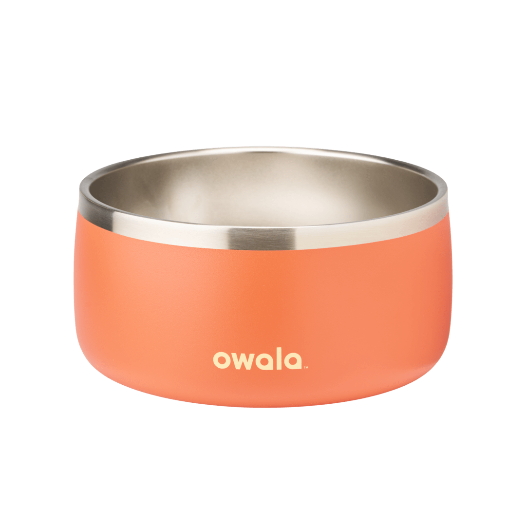 Pet Bowl 778