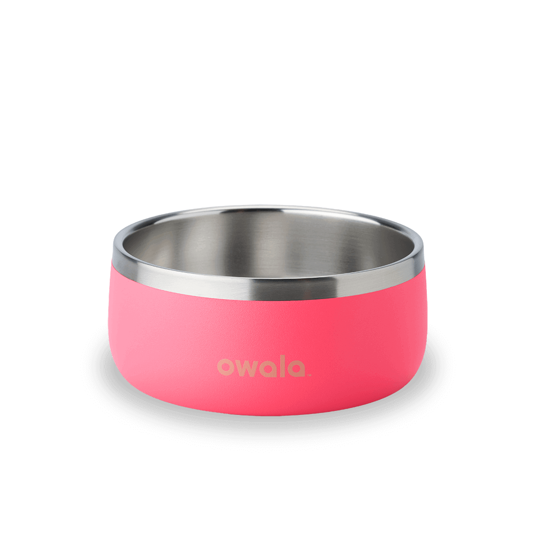 Pet Bowl 778