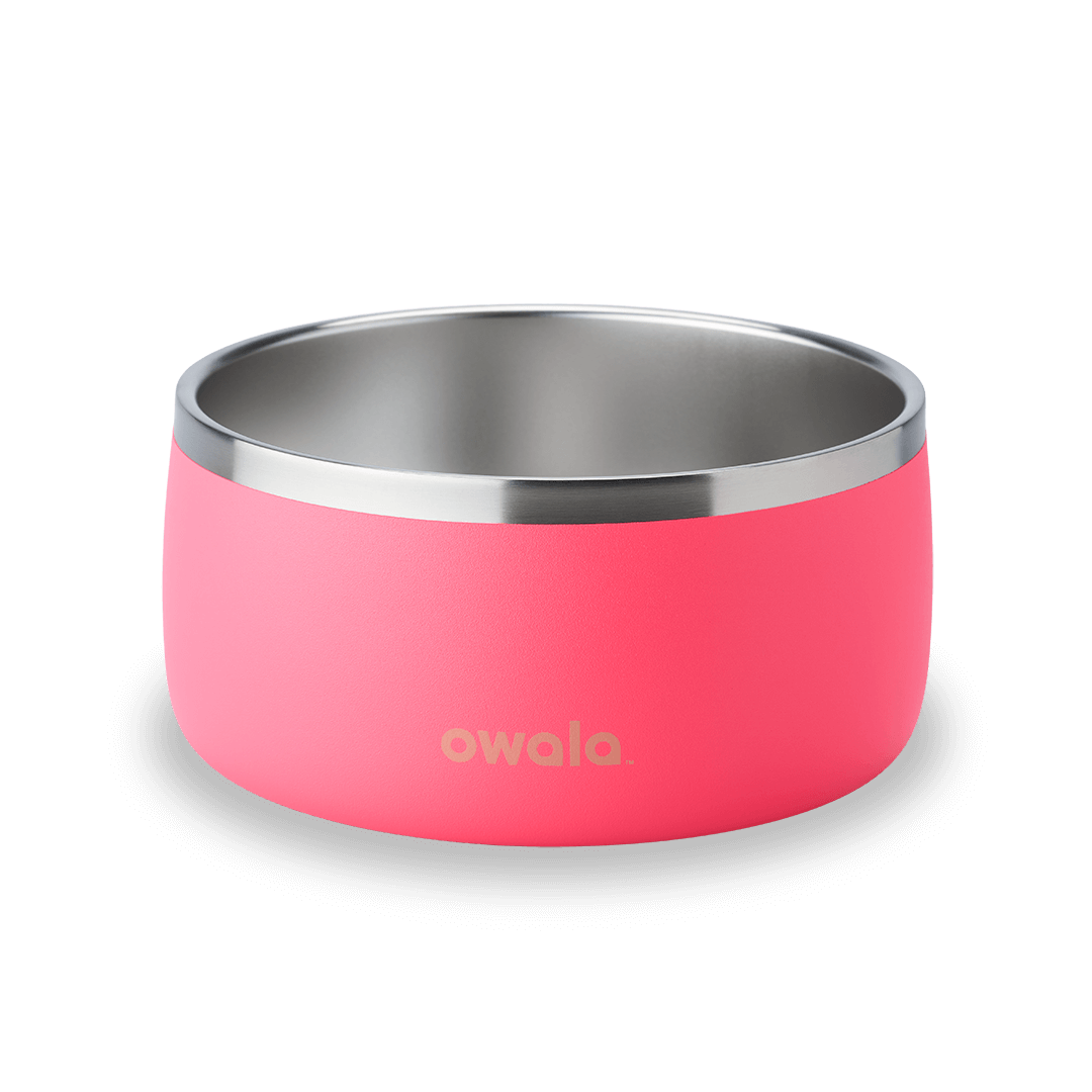 Pet Bowl 778